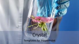  Presentation with test - Cool new PPT theme with scientist holding test tube backdrop and a teal colored foreground