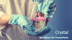  Presentation with blue rose - PPT theme having scientist holding test tube background and a ocean colored foreground