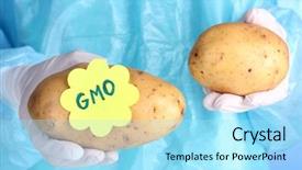  Presentation with genetically modified plants - Beautiful presentation design featuring scientist holds a genetically modified backdrop and a arctic colored foreground
