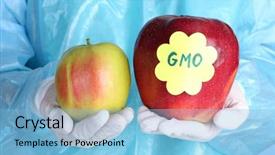  Presentation with genetically modified plants - Slides consisting of scientist holds a genetically modified background and a light blue colored foreground