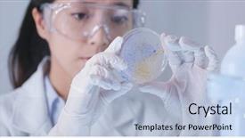  Presentation with petri dish - Presentation theme having scientist observation about petri dish background and a light blue colored foreground