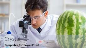  Presentation with testing - PPT theme having scientist testing watermelon in lab background and a light blue colored foreground