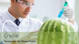  Presentation with testing - Theme enhanced with vitamins chemistry - scientist testing watermelon in lab background and a yellow colored foreground