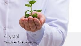  Presentation with green glass - Cool new slide set with scientist with green seedling in glass isolated on white backdrop and a light blue colored foreground