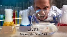  Presentation with lab mouse - Colorful slides enhanced with scientist yelling on lab mouse backdrop and a coral colored foreground