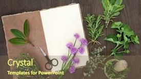  Presentation with notebook paper - PPT layouts featuring scissors and mortar with pestle background and a violet colored foreground