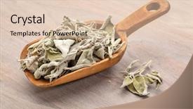  Presentation with sage - Colorful presentation theme enhanced with scoop of dry greek sage backdrop and a  colored foreground