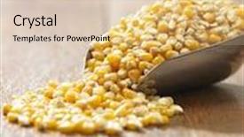  Presentation with maize - Amazing theme having scoop of the maize corn backdrop and a lemonade colored foreground