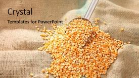  Presentation with maize - Theme featuring scoop of the maize corn on the wooden background background and a coral colored foreground