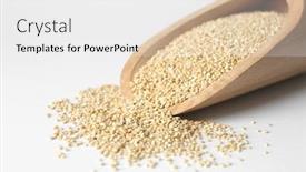  Presentation with quinoa - PPT theme having scoop with raw quinoa grains on white background closeup background and a white colored foreground