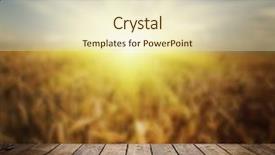  Presentation with scope - Theme with scope - wood textured backgrounds background and a soft green colored foreground