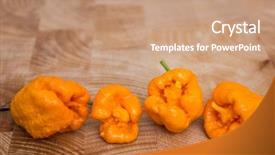  Presentation with chocolates pepper - Slide deck with scorpion - yellow 7 pot pepper background and a coral colored foreground