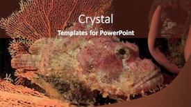  Presentation with coral - Audience pleasing PPT theme consisting of scorpionfish fish on coral backdrop and a tawny brown colored foreground