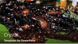  Presentation with asia street food - Amazing theme having scorpions-insects-bugs-grubs backdrop and a wine colored foreground