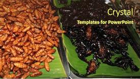  Presentation with asia street food - Cool new presentation theme with scorpions-insects-bugs-grubs backdrop and a wine colored foreground