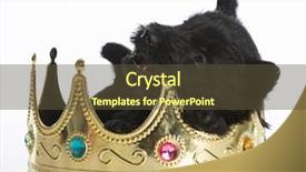  Presentation with kings - Amazing presentation theme having scottie dog - regal puppy - scottish terrier backdrop and a tawny brown colored foreground
