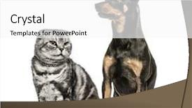  Presentation with fold - PPT layouts with scottish fold and german pinscher background and a white colored foreground