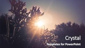  Presentation with walk in desert - Amazing slides having scottsdale - beautiful desert morning sunrise backdrop and a wine colored foreground