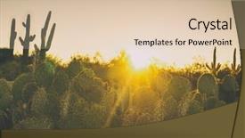  Presentation with desert oasis medical - Theme consisting of scottsdale - beautiful desert morning sunrise background and a lemonade colored foreground
