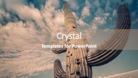  Presentation with epic - Audience pleasing PPT theme consisting of scottsdale - epic saguaro cactus tree backdrop and a coral colored foreground