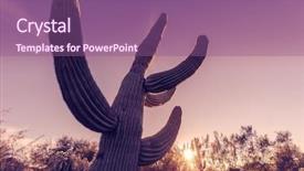  Presentation with saguaro - Amazing slide set having scottsdale - extreme wide angle shot backdrop and a violet colored foreground