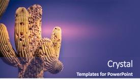  Presentation with golf ball on tee - Audience pleasing PPT layouts consisting of scottsdale cactus tree golf balls backdrop and a violet colored foreground