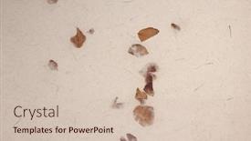  Presentation with old crumpled paper - Slides enhanced with scrapbook-beige-crumpled-old-craft background and a soft green colored foreground