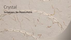  Presentation with old crumpled paper - PPT theme featuring scrapbook-beige-crumpled-old-craft background and a soft green colored foreground