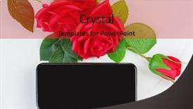  Presentation with lover - PPT theme with screen of new smartphone iphone background and a crimson colored foreground