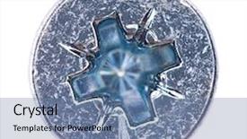  Presentation with pandanus or screw pine plant - Slides enhanced with screw head on white background background and a seafoam green colored foreground