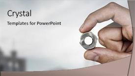  Presentation with pandanus or screw pine plant - Theme having screw holden with fingers background and a light gray colored foreground