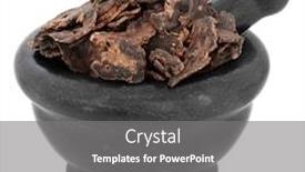  Presentation with chinese medicine - Beautiful slide deck featuring scrophularia root chinese herbal medicine in a black stone mortar with pestle over white background xuan shen ningpo figwort backdrop and a gray colored foreground