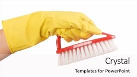  Presentation with floral border over white - Amazing PPT layouts having scrub brush - hand in glove isolated backdrop and a  colored foreground
