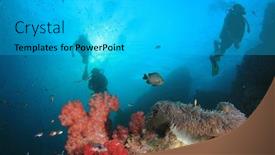 Presentation with sea coral - Slide deck consisting of scuba-dive-coral-reef-sea background and a light gray colored foreground