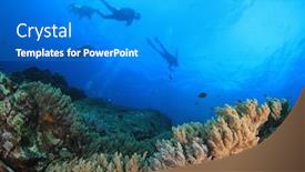  Presentation with reef octopus underwater - PPT layouts with scuba-dive-on-coral-reef background and a gray colored foreground