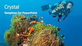  Presentation with coral - Slide deck enhanced with scuba diver explore a coral reef showing ok sign background and a teal colored foreground