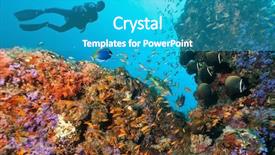  Presentation with coral - Audience pleasing presentation theme consisting of scuba diver explore a coral reef backdrop and a teal colored foreground
