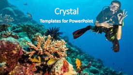  Presentation with coral reef - Colorful presentation theme enhanced with scuba diver explore a coral backdrop and a teal colored foreground