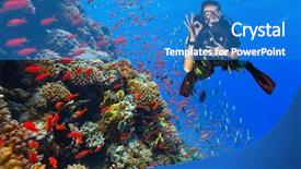  Presentation with coral reef - PPT layouts enhanced with scuba diver explore a coral background and a teal colored foreground