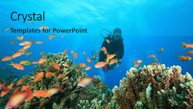  Presentation with coral reef - PPT layouts enhanced with scuba diver exploring a coral background and a cyan colored foreground