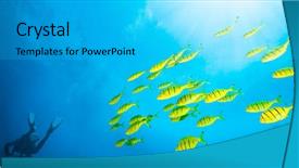  Presentation with electric yellow fish - Presentation featuring scuba diver exploring sea bottom background and a cyan colored foreground