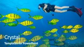  Presentation with sea coral - Theme having scuba diver exploring sea bottom background and a ocean colored foreground