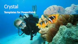  Presentation with scuba diving - Slide deck with scuba diver finds nemo background and a teal colored foreground