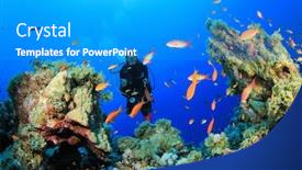  Presentation with egypt - Colorful PPT theme enhanced with scuba diver in the red sea egypt backdrop and a teal colored foreground