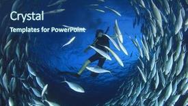  Presentation with fish - Presentation theme consisting of scuba diver surrounded by fish background and a ocean colored foreground