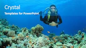  Presentation with scuba diving - Colorful slide deck enhanced with scuba diver swims over coral backdrop and a teal colored foreground