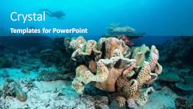  Presentation with water cup - Slide set consisting of scuba-diver-swims-past background and a teal colored foreground