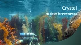  Presentation with coral - Theme having scuba diver underwater with plants background and a  colored foreground