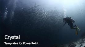  Presentation with school - Amazing presentation design having scuba diver watching huge school of jack fish swirling underwater backdrop and a black colored foreground