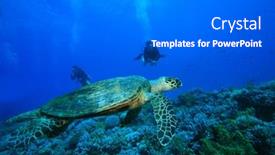  Presentation with divers - 